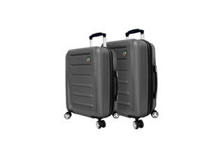 original penguin luggage set