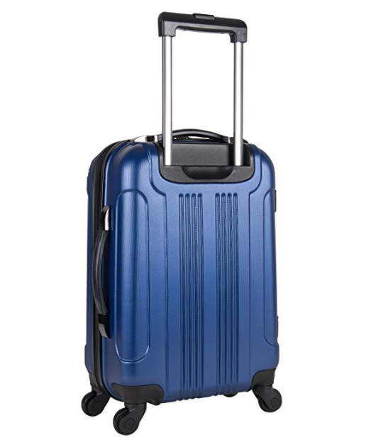 Cole Reaction Out of Bounds 20" 4 Wheel Upright Review 2020