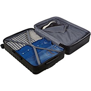 amazonbasics luggage