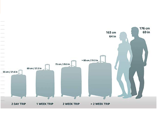 Best Luggage Sets with Different Size Combinations 2021 - Luggage Spots